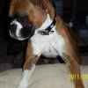carolhatton78